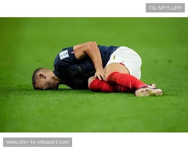 拜仁慕尼黑—卢卡斯断球后一脚急射入网 拜仁慕尼黑—卢卡斯断球后一脚急射入网