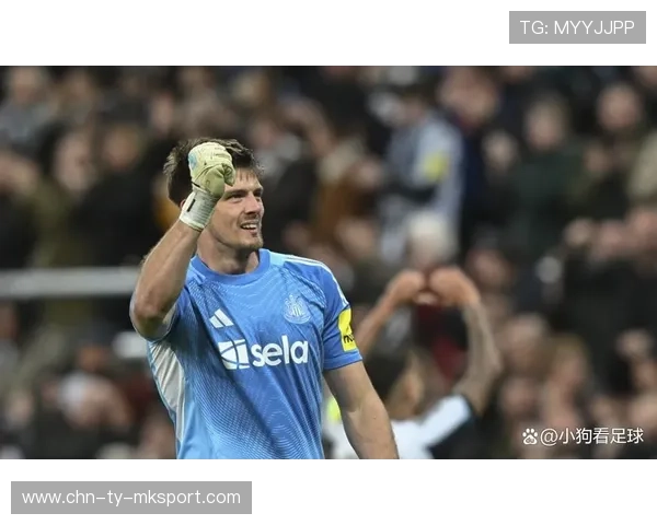 纽卡斯尔波普高接低挡出色